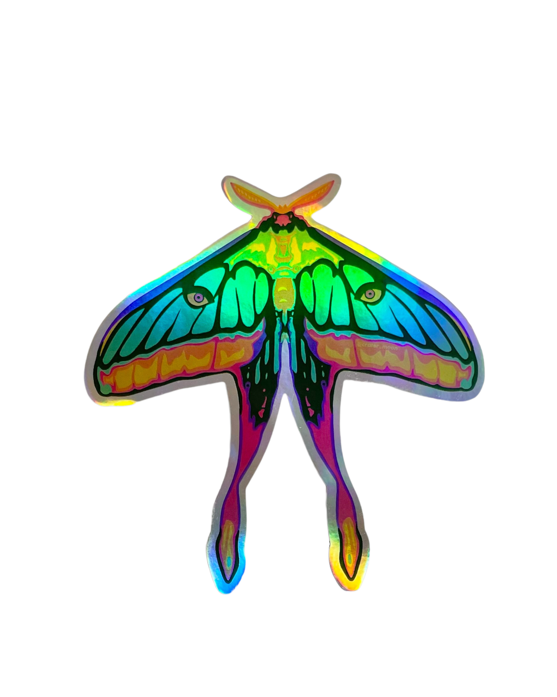 Moth Holographic Sticker
