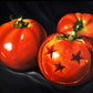 “Tennessee Tomato” Canvas Print by Chrissy Crater